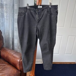 Ava & Viv Black Women Jeans